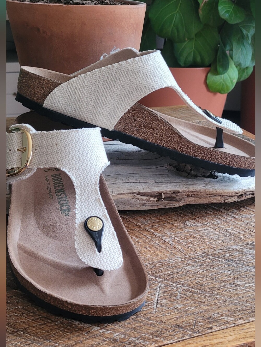 Birkenstock Big Buckle Rivet Logo Gizeh Thong Sandals - Picture 4 of 4